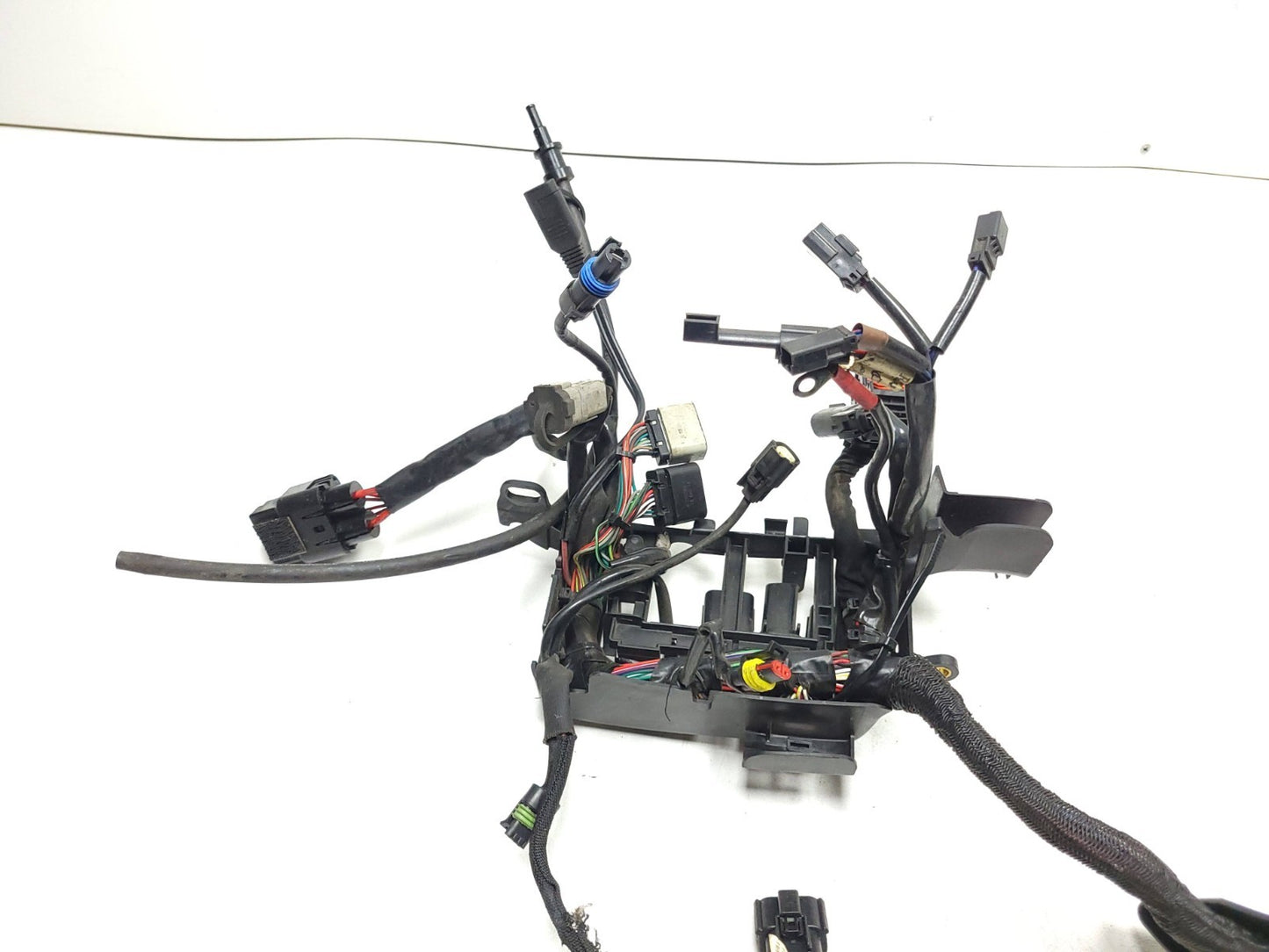 2019 Harley Davidson Xl 883 Iron Main Wiring Harness OEM