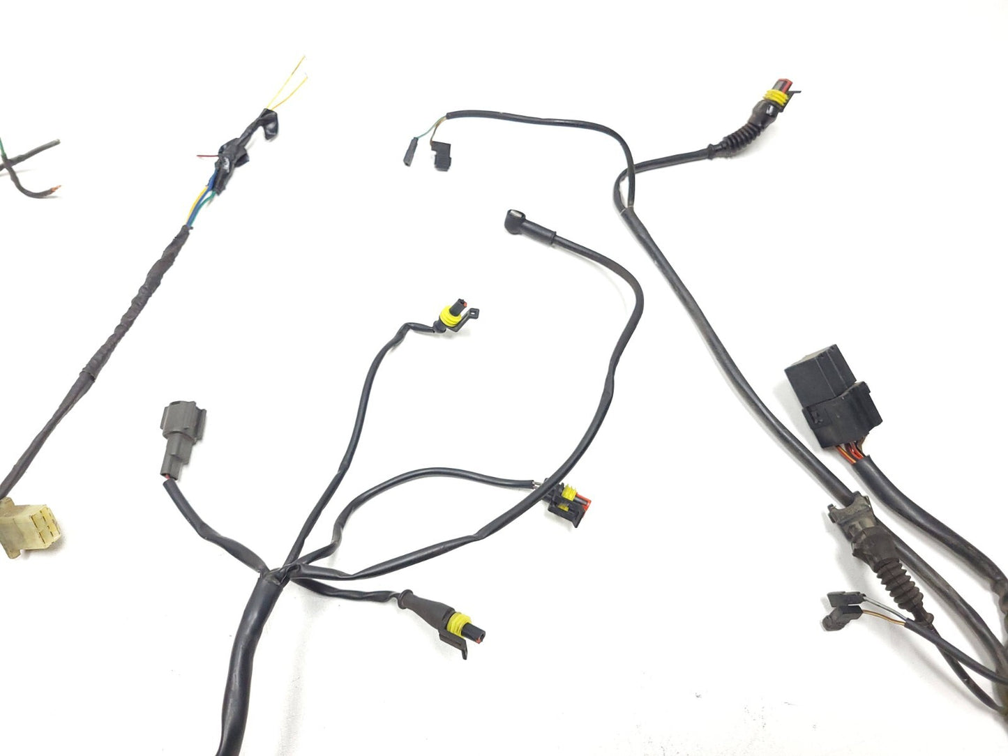 02-06 Ducati Monster M600 620 Main Wire Harness OEM