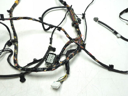 2018 Tesla Model 3 Main Body Wire Wiring Harness Driver Side 1067954-00-e OEM