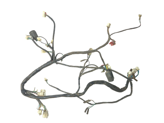 2007 Cf Moto V5 Qlink Legacy 250 Main Wire Harness OEM