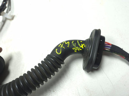 2019 Tesla Model 3 Front Right Passenger Door Harness Wiring  OEM