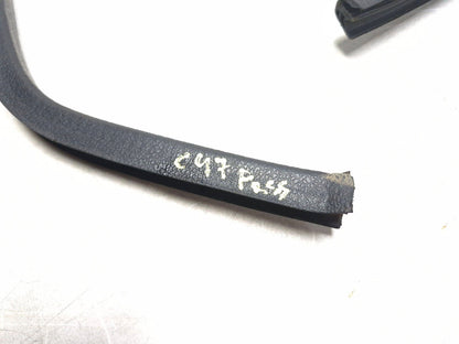 2013 Fiat 500 Turbo Front Right Door Weatherstrip Seal OEM