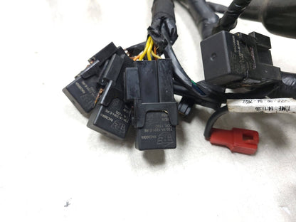 2022 - 2024 Royal Enfield Classic 350 Main Wire Harness OEM