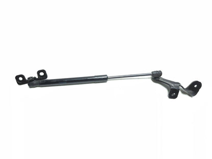 2021 Tesla Model 3 Front  Hood Lift Shock Strut Support 2pcs  OEM