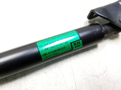 08 - 15 Scion Xb Trunk Lid Hatch Shock Strut Lift Support Pair OEM