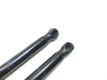 2018 Alfa Romeo Stelvio Front Hood Shock Lift Support Left & Right OEM