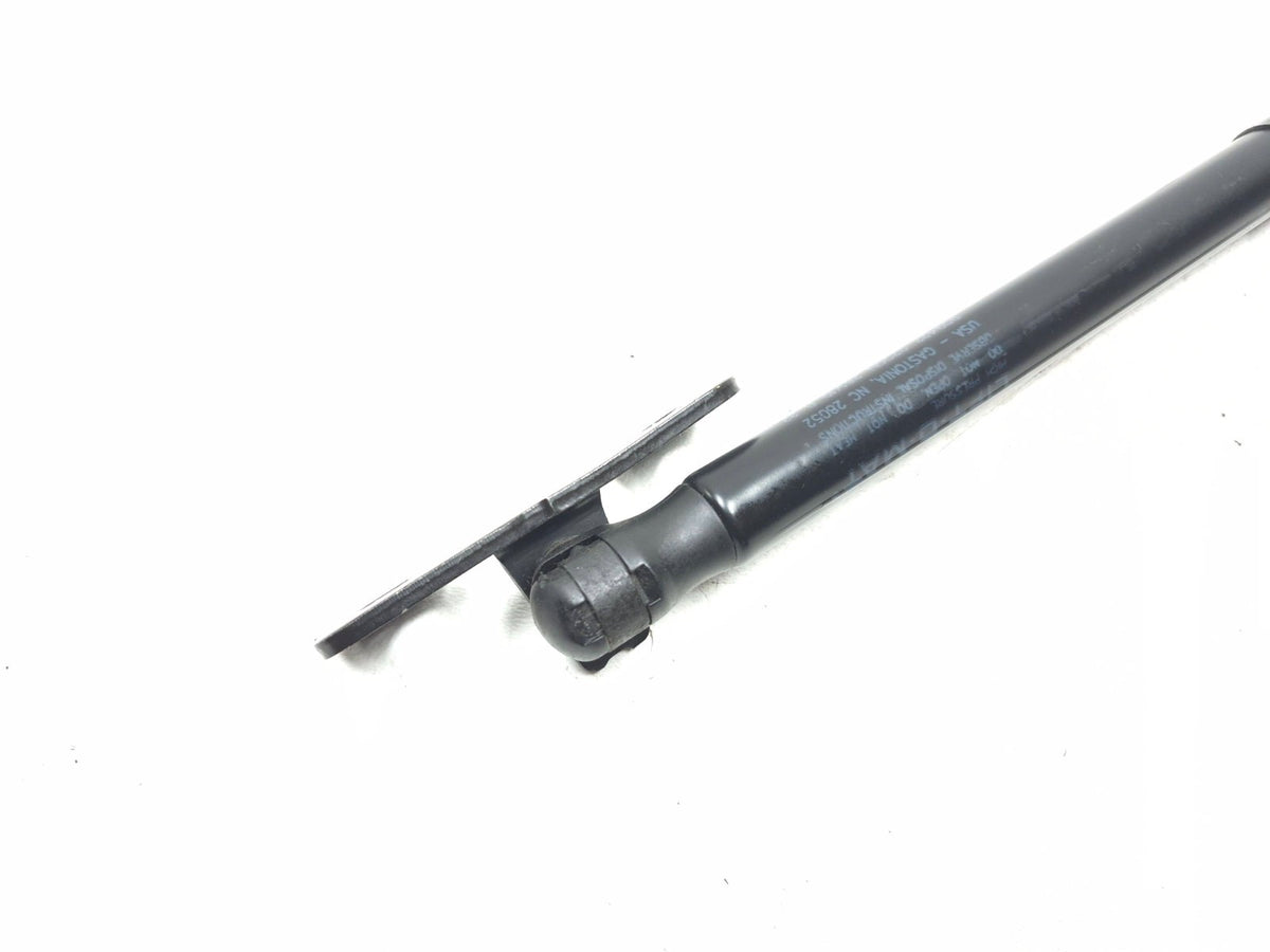 2020 Tesla Model 3 Front Bonnet Hood Strut Left & Right OEM