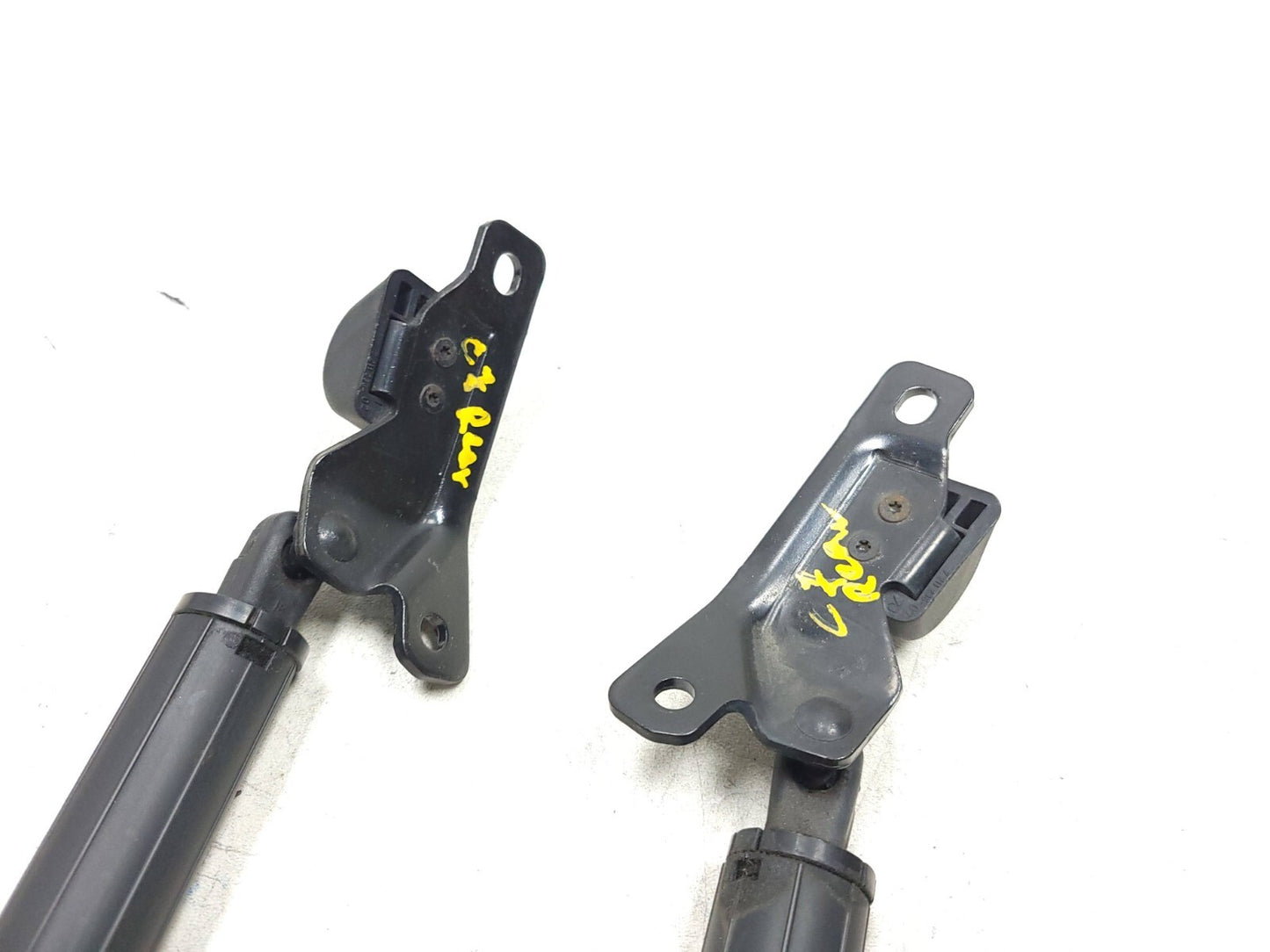 2007 - 2013 BMW X5 E70 Tailgate Trunk Lift Shock Left & Right OEM