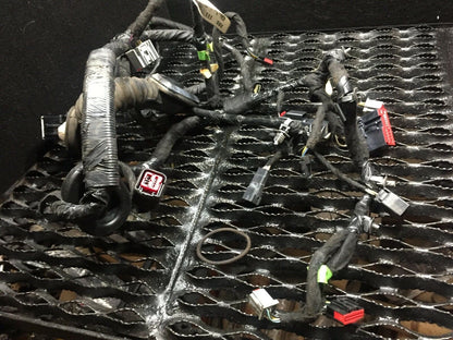 09 10 11 12 Lincoln MKS Rear Door Wire Harness Passenger Right Side OEM