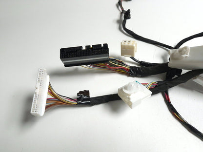 2018 Tesla Model 3 Main Body Wire Wiring Harness Driver Side 1067954-00-e OEM