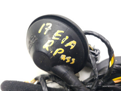 17-20 Hyundai Elantra Door Wire Harness Rear Right Passenger Side OEM 22k