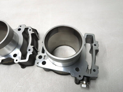 2017 Indian Scout Front & Rear Engine Motor Cylinder Pair OEM