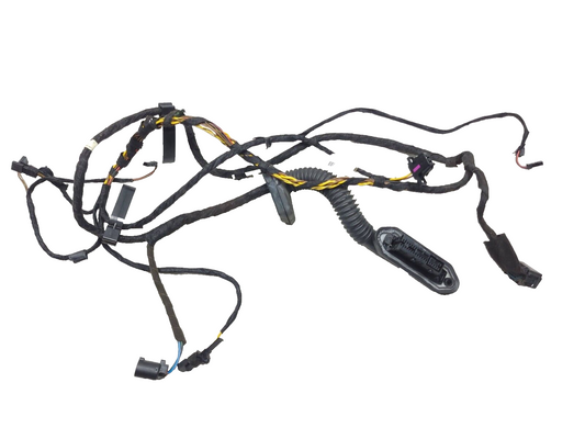 2006-2009 Range Rover Door Wire Harness Rear Right Pass Side OEM