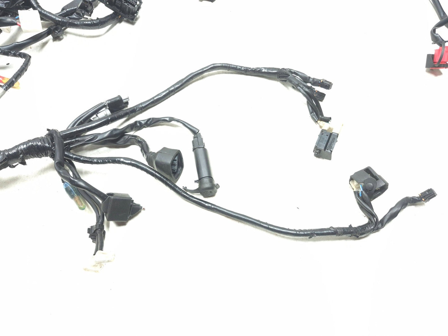2025 Yamaha Xsr900 Main Wire Harness OEM