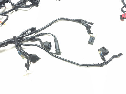 2025 Yamaha Xsr900 Main Wire Harness OEM