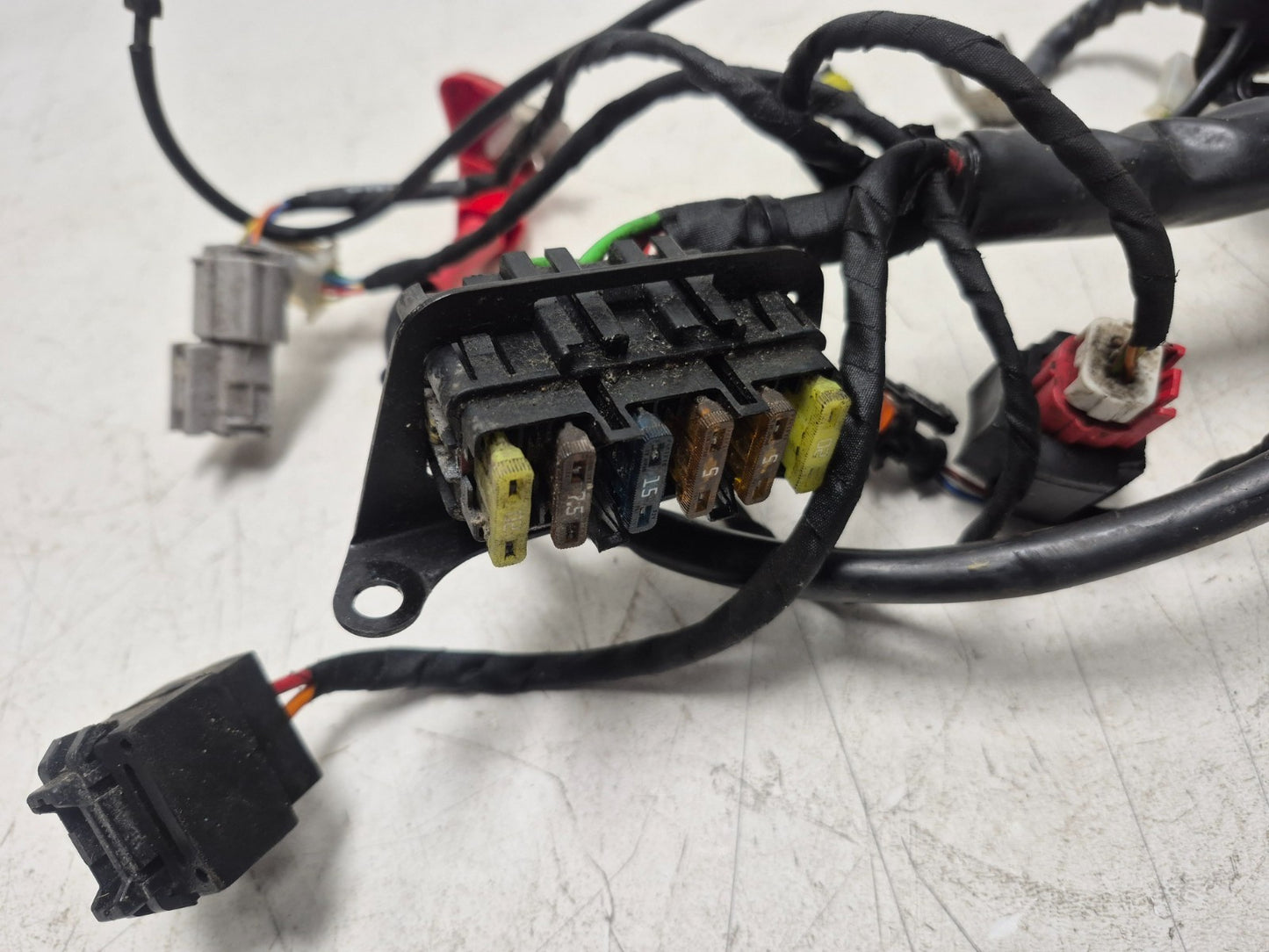 2022 Moto Guzzi V7 Main Wire Harness OEM