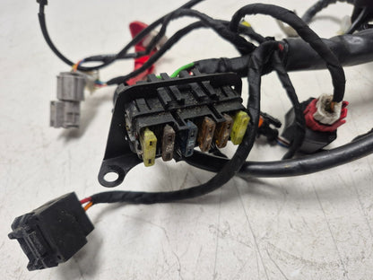 2022 Moto Guzzi V7 Main Wire Harness OEM