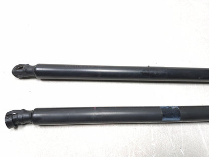 2013 Dodge Grand Caravan Liftgate Lift Shock Support Pair Oem✅