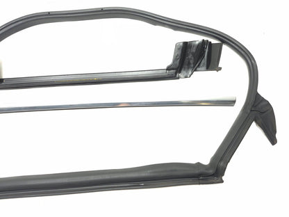 2020 Tesla Model 3 Rear Door Seal & Belt Molding Passenger Side 3 Pcs OEM