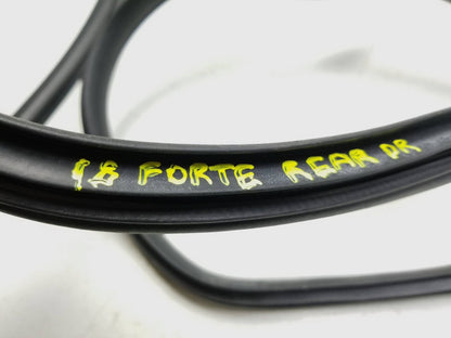 2018 Kia Forte Door Weatherstrip Rear Driver Side Left 2pcs OEM