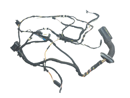 2013 BMW 328i F30 Front Door Wire Harness Passenger Side Right OEM