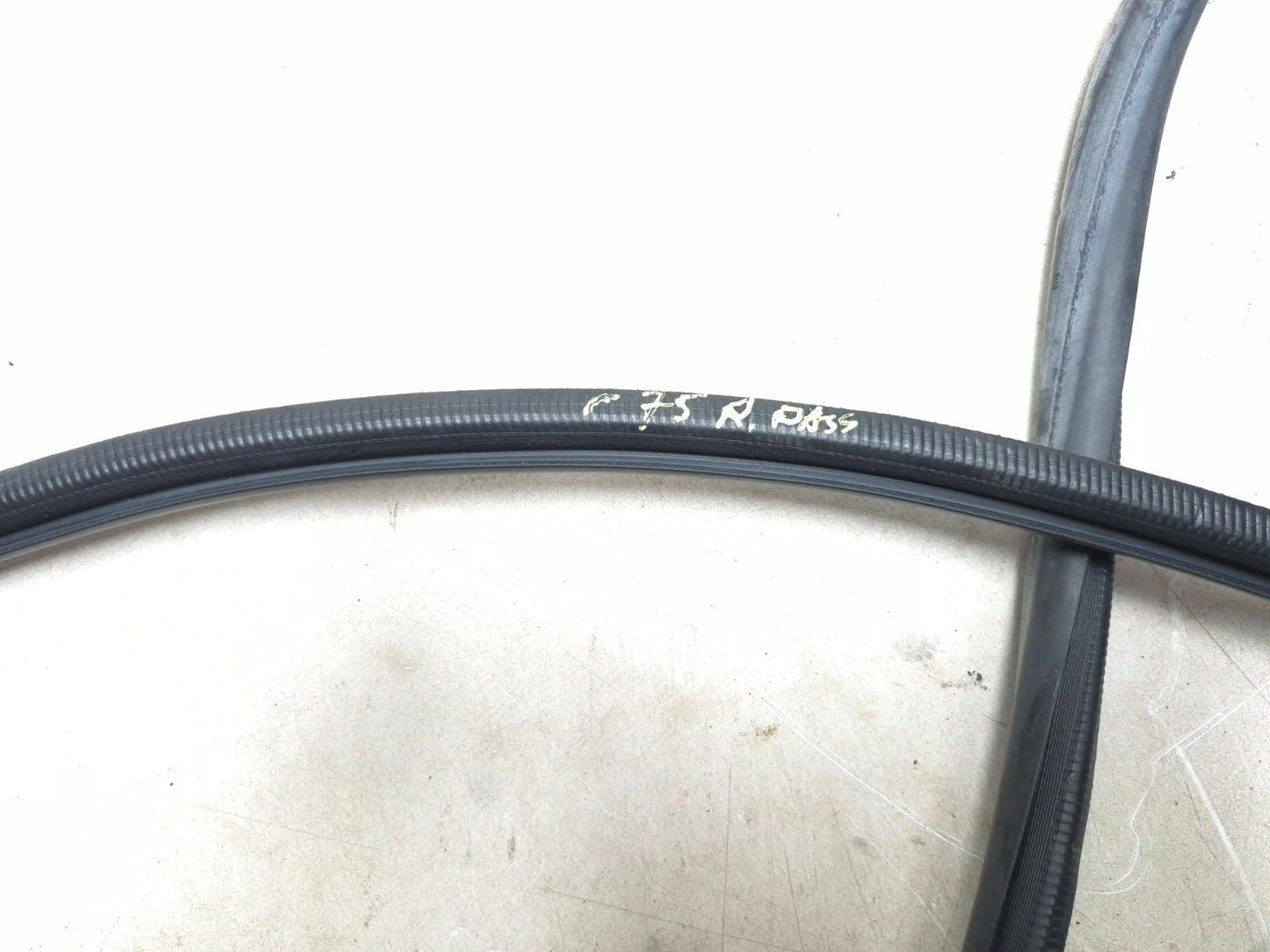 2010 Lexus Hs250h Rear Door Weatherstrip Seal Right Passenger Side Set OEM