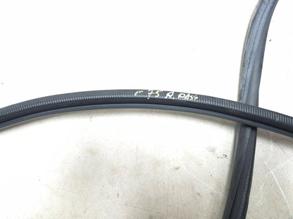 2010 Lexus Hs250h Rear Door Weatherstrip Seal Right Passenger Side Set OEM