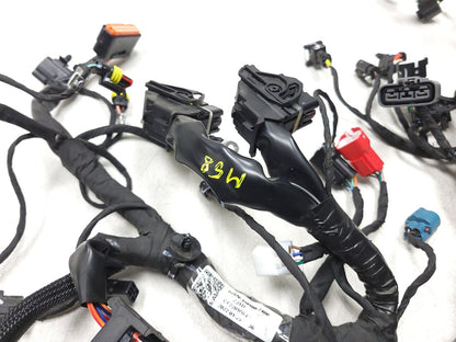 2022 - 2024 Cf Moto 700 Cl-x Main Wire Harness OEM