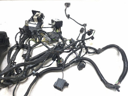 2019 Ford Ecosport Main Wire Harness With Fuse Box OEM