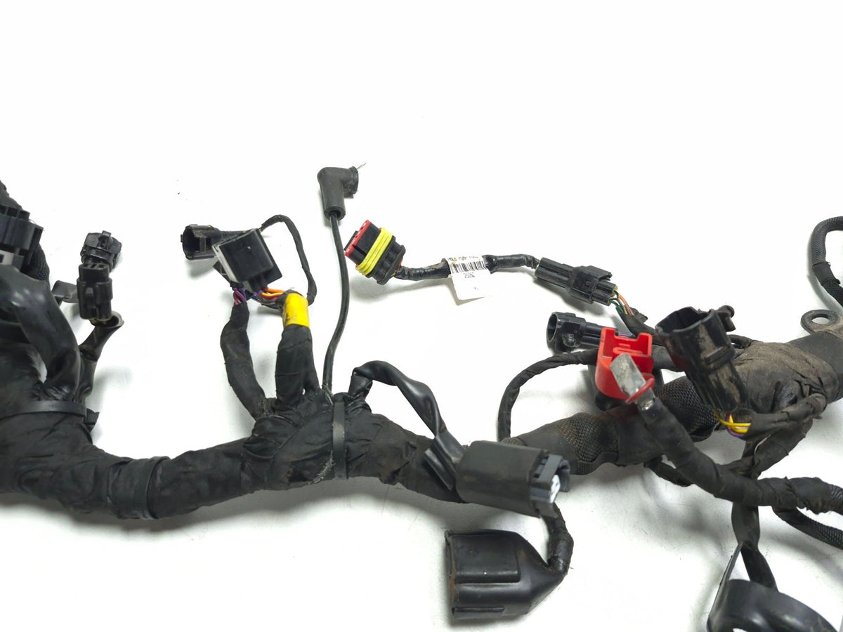 2024 Triumph Speed 400 Main Wire Harness OEM