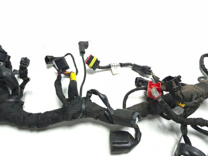 2024 Triumph Speed 400 Main Wire Harness OEM