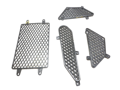 2025 Dongfang Df200stg Side & Center Fairing Guard 4 Pcs OEM