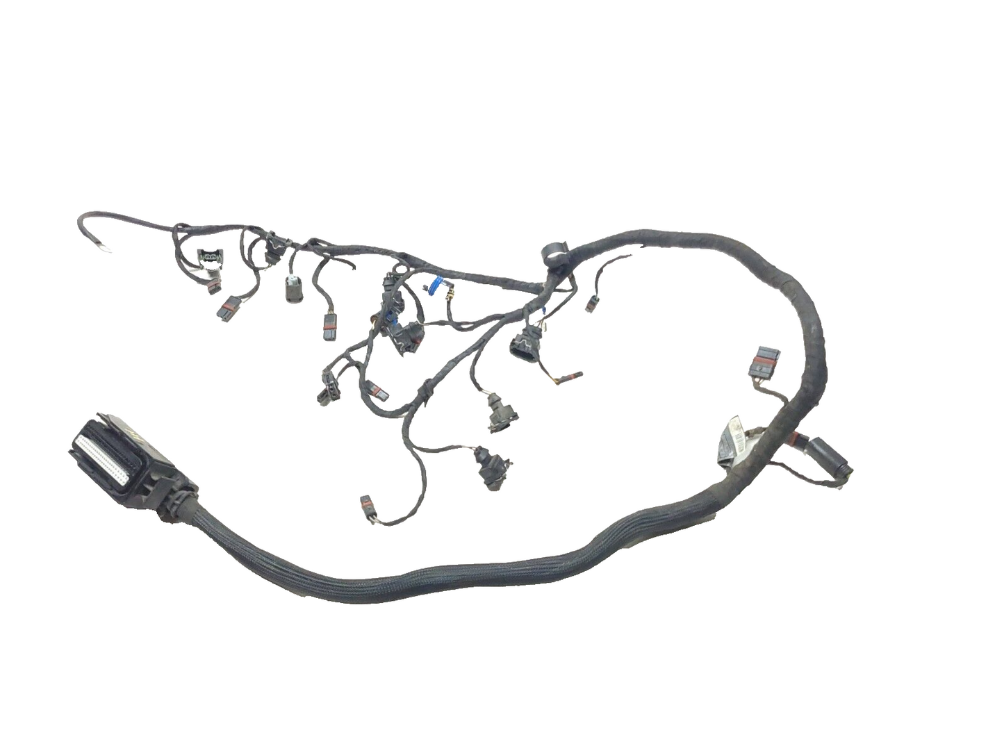 05-08 BMW K1200r K1200 Throttle Bodies Body Wiring Harness Loom  OEM