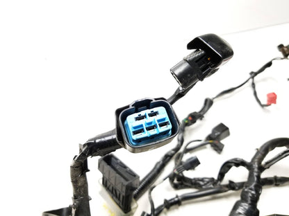 19 - 23 Honda Cbf300 Na Main Engine Wire Harness OEM