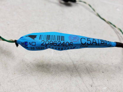 2010 2011 Chevrolet Equinox Door Wire Harness Front Passenger Side Right OEM