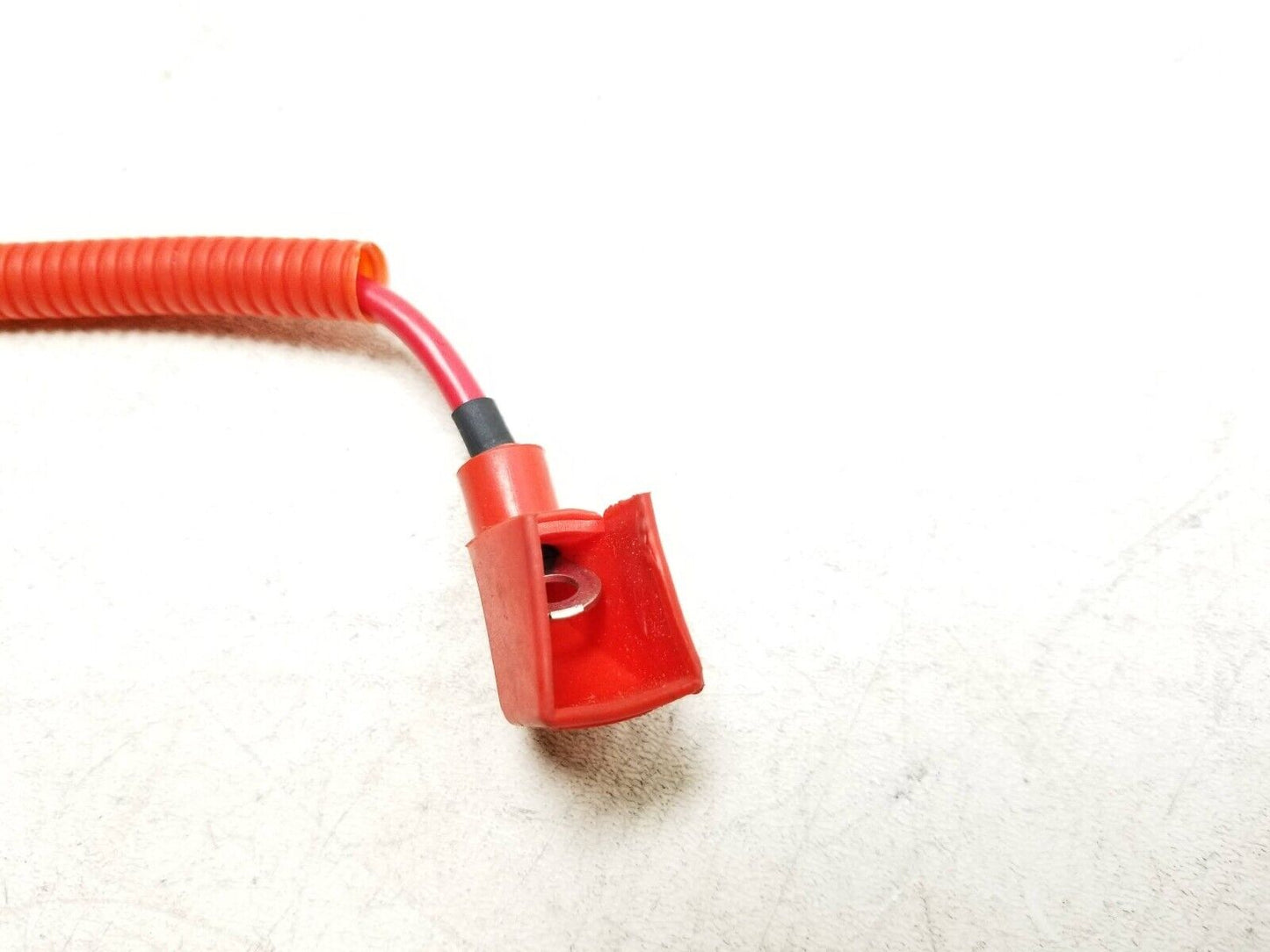 20 - 24 Benelli 302s Starter Positive Cable OEM 1609 Miles