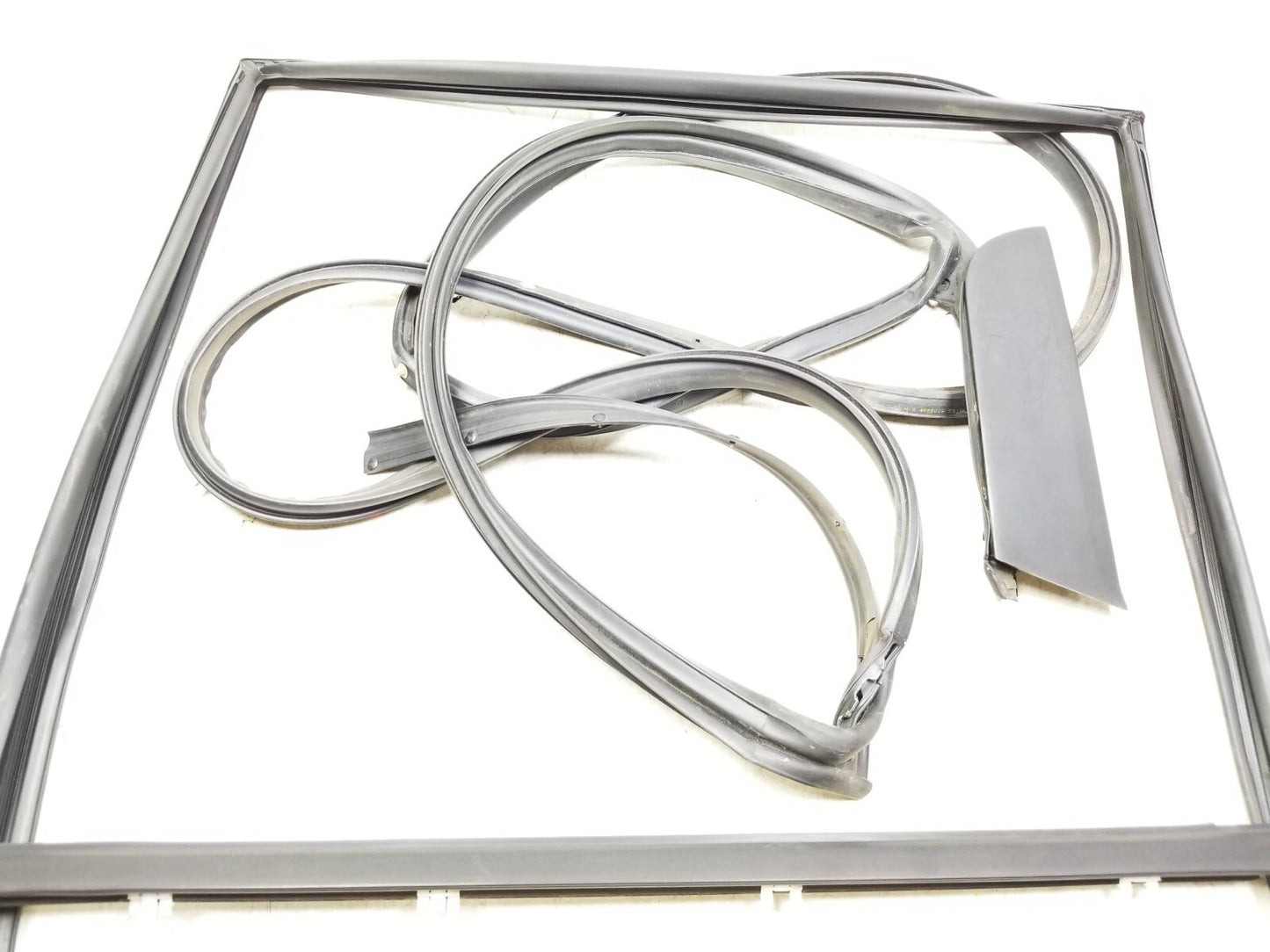 2007 - 2012 Nissan Sentra Door Weatherstrip Seal & Belt Rear Passenger Side OEM