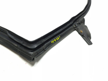 2022 Tesla Model 3 Rear Door Window Belt Molding & Seal Driver Side 3pcs OEM