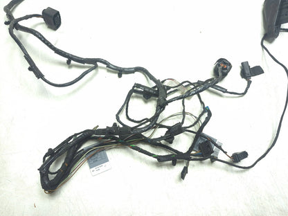 2008 BMW X6 E71 Rear Door Wire Harness Passenger Side Right OEM