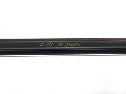 2015 Mercedes C300 Rear Door Belt Seal Trim Molding Left & Right W205  OEM