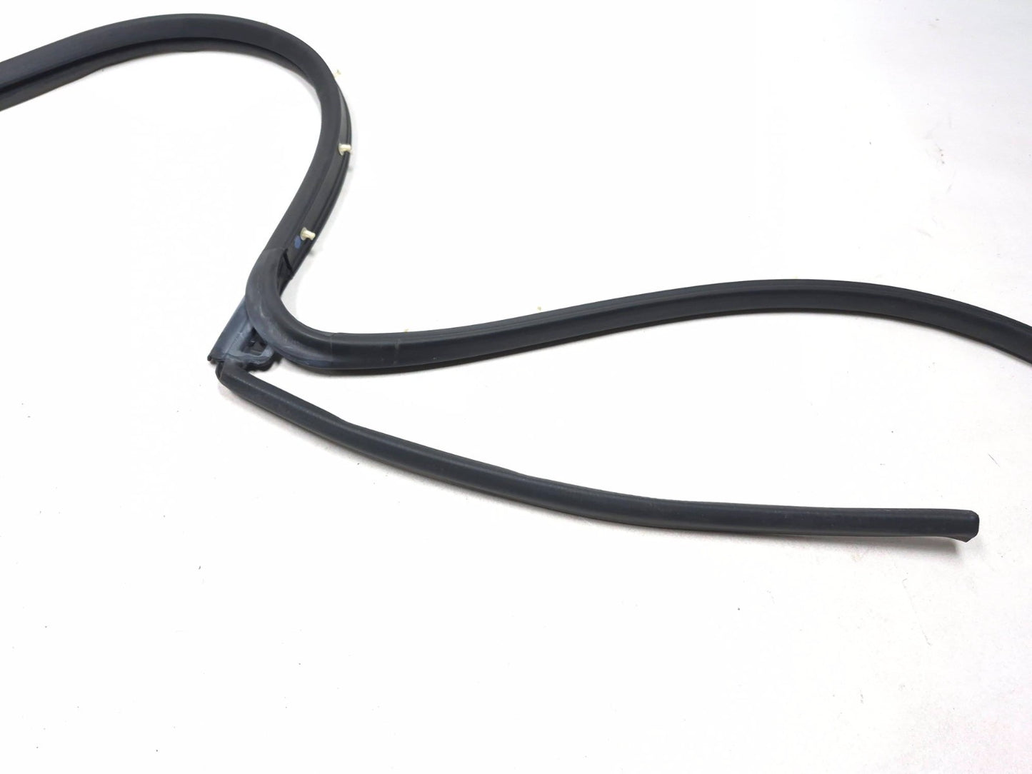 2019 Ford Ecosport Door Weatherstrip Rear Passenger Side Right OEM