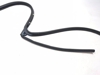 2019 Ford Ecosport Door Weatherstrip Rear Passenger Side Right OEM