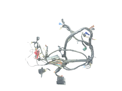 2005 Yamaha Yzf R6 Main Wire Harness OEM
