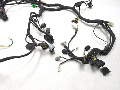 2023 Csc Rx3 Rx4 Adventure Wiring Harness OEM