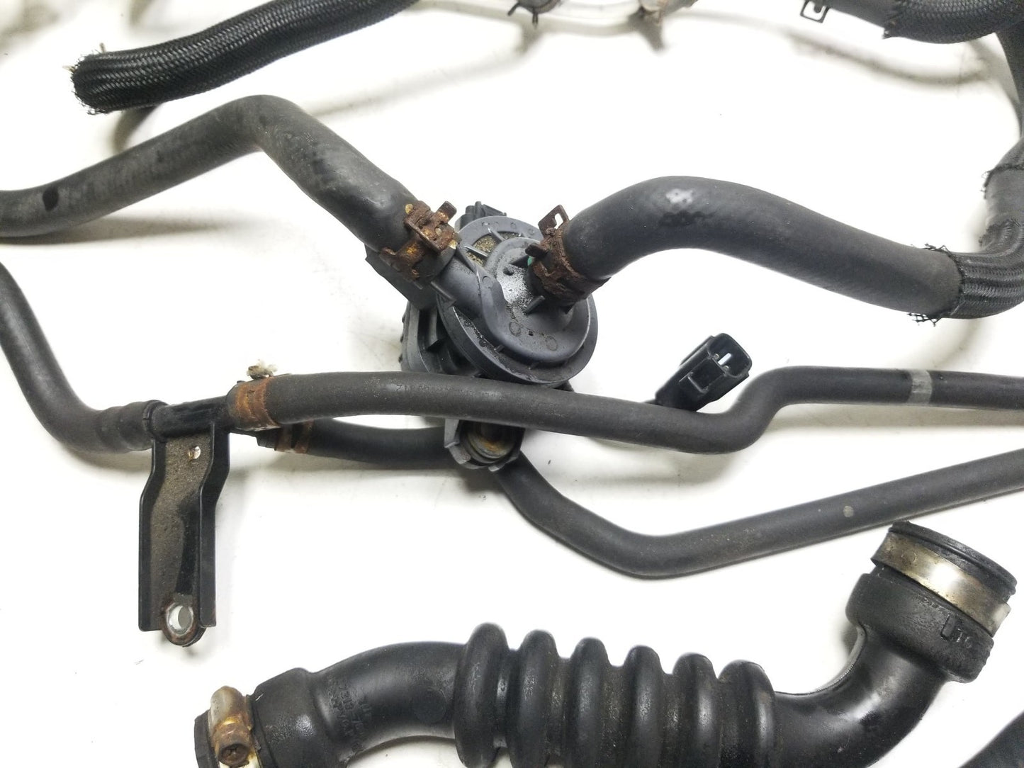 11-17 Lexus CT200h Coolant Hose Pipe Oem✅