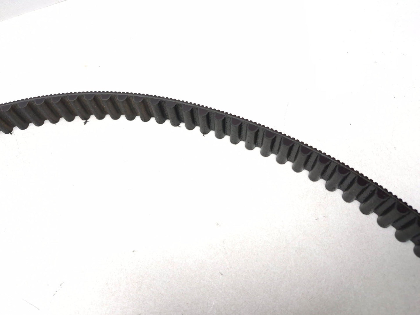 2009 Harley-davidson Sportster Xl883l Drive Belt OEM