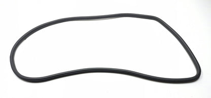 2011 Nissan Juke Rear Door Window Belt & Weatherstrip Seal Passenger Side Rh OEM
