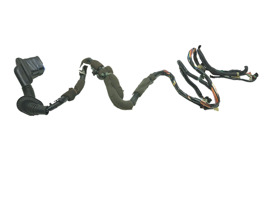 2009 Honda Civic 2dr Door Wire Harness Left Driver OEM