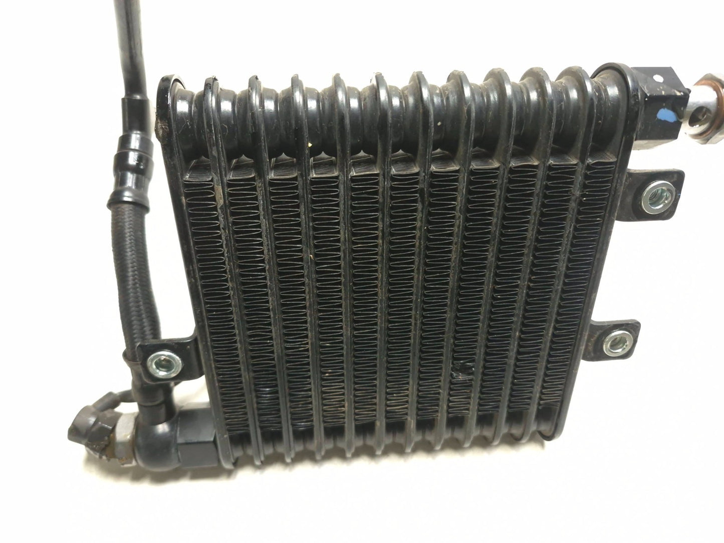 2014 Triumph America Oil Cooler Radiator OEM