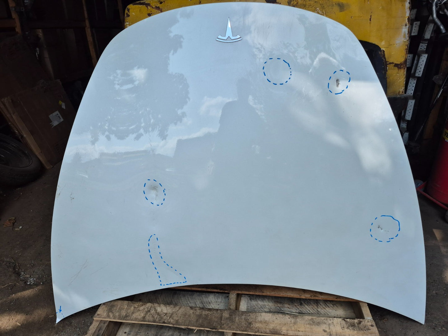 2019 Tesla Model 3 Hood Bonnet Panel OEM